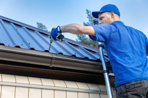 Best Gutter Installation and Repair  in Offutt Af, NE