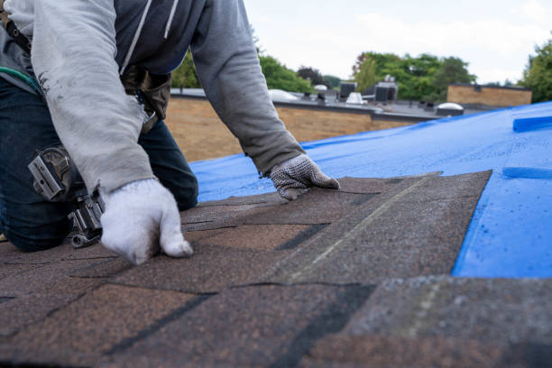 Best Roof Moss and Algae Removal  in Offutt Af, NE